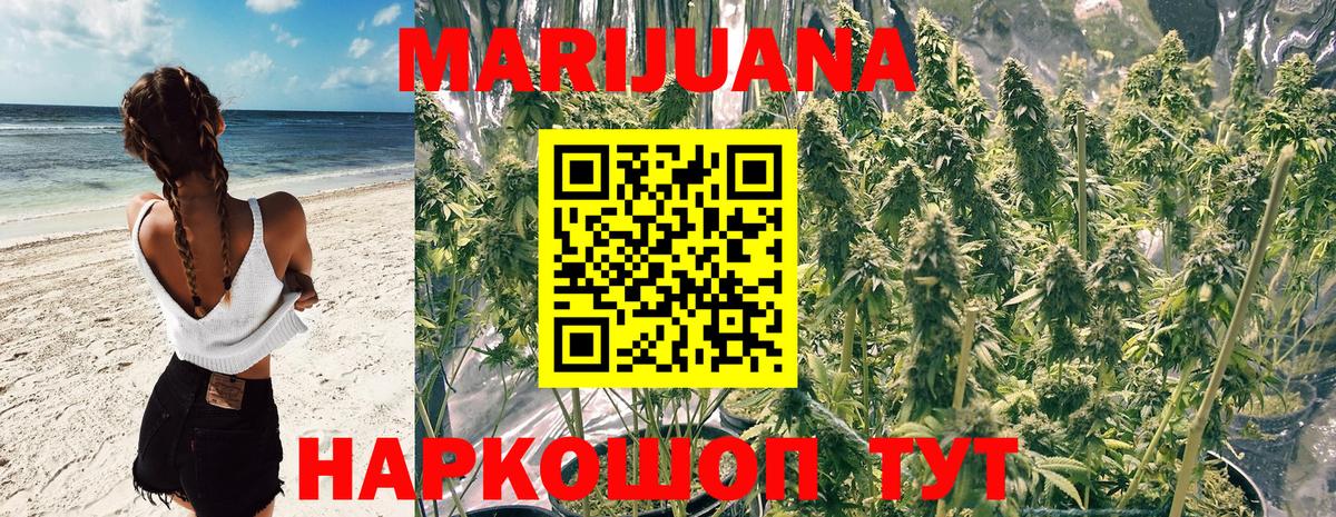 Канабис ГИДРОПОН Джанкой